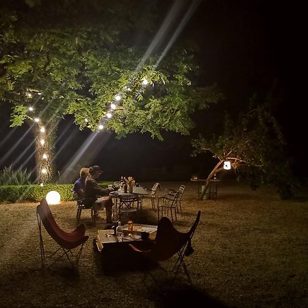 Mouzieys-Teulet Domaine De La Celarie المظهر الخارجي الصورة